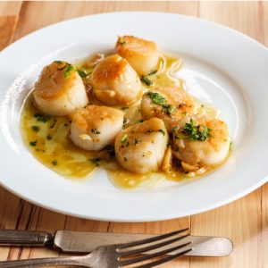 scallop recipes