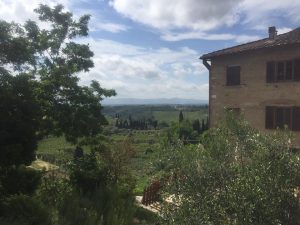 winery and vineyard tours